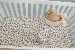 EXCLUSIVE GIMME SOME FIN DREAM CRIB SHEET