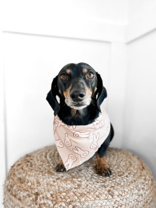 BUNNY TAILS DREAM DOG BANDANA