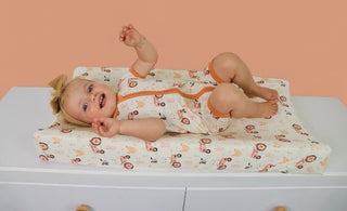 FARMYARD FRIENDS DREAM CHANGING PAD