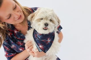 RED, WHITE & BOOM DREAM DOG BANDANA