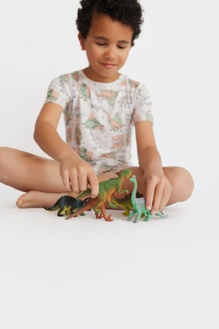 DINO DELIGHT DREAM SHORT SET