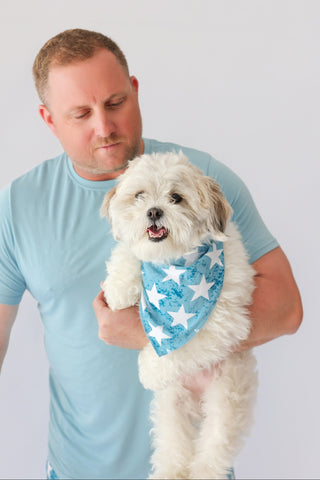 LITTLE LIBERTY STARS DREAM DOG BANDANA