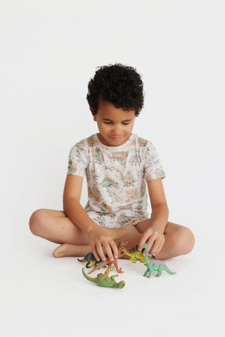 DINO DELIGHT DREAM SHORT SET