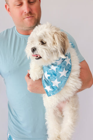 LITTLE LIBERTY STARS DREAM DOG BANDANA