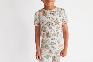DINO DELIGHT DREAM SHORT SET