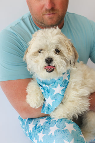 LITTLE LIBERTY STARS DREAM DOG BANDANA