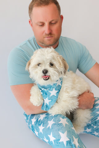 LITTLE LIBERTY STARS DREAM DOG BANDANA