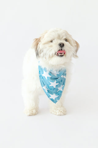 LITTLE LIBERTY STARS DREAM DOG BANDANA