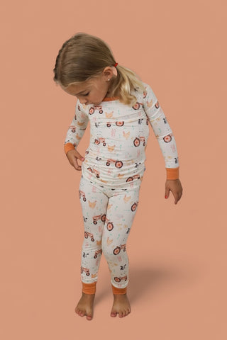 FARMYARD FRIENDS DREAM SET