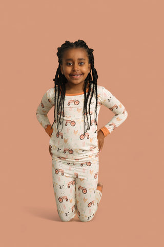 FARMYARD FRIENDS DREAM SET