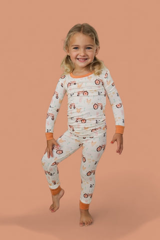 FARMYARD FRIENDS DREAM SET