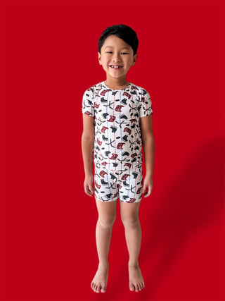 STICK & SKATE DREAM SHORT SET