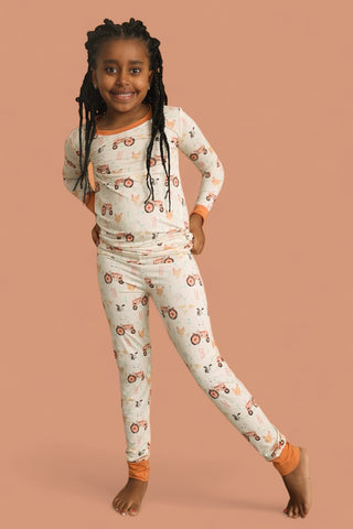 FARMYARD FRIENDS DREAM SET