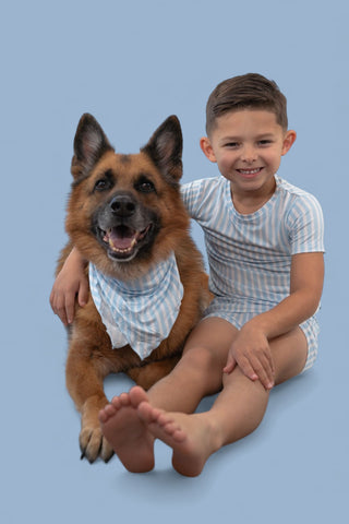 SEASIDE STRIPE DREAM DOG BANDANA