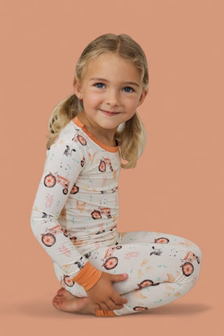 FARMYARD FRIENDS DREAM SET