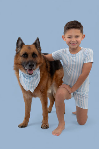 SEASIDE STRIPE DREAM DOG BANDANA
