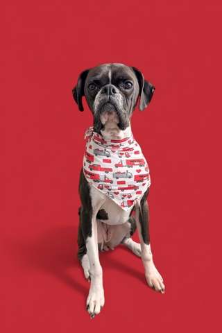HAULIN' HEARTS DREAM DOG BANDANA