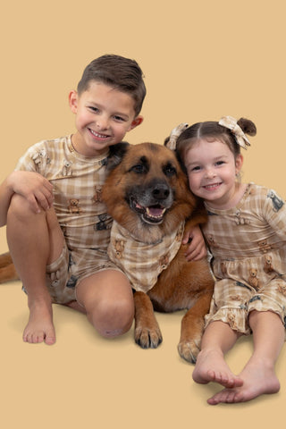 TEDDY CHECK DREAM DOG BANDANA