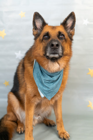 SLEEPY SMILES DREAM DOG BANDANA