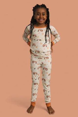 FARMYARD FRIENDS DREAM SET