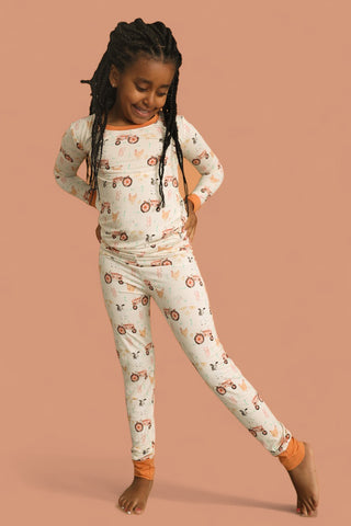 FARMYARD FRIENDS DREAM SET