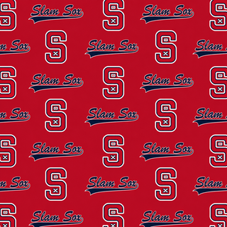 SLAM SOX DREAM FAMILY SIZE BLANKET