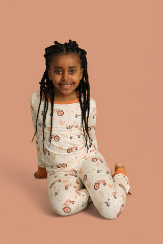 FARMYARD FRIENDS DREAM SET