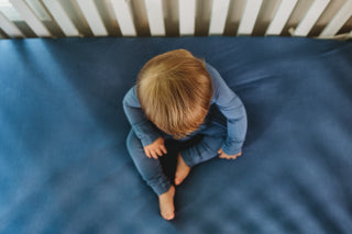 SLATE BLUE DREAM CRIB SHEET