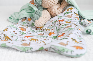 DINOSAUR DREAM SLEEP SACK