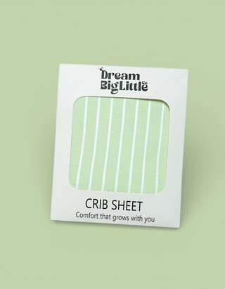 SPRINGTIME STRIPE DREAM CRIB SHEET
