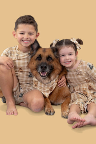 TEDDY CHECK DREAM DOG BANDANA