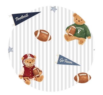 TOUCHDOWN TEDDY