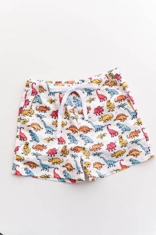 COLOR ME DINO DREAM SWIM TRUNKS