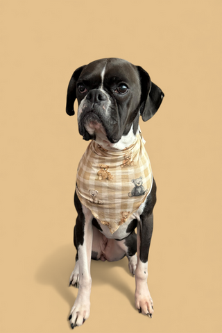 TEDDY CHECK DREAM DOG BANDANA