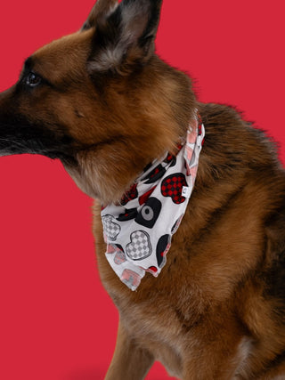 CROSS MY HEART DREAM DOG BANDANA