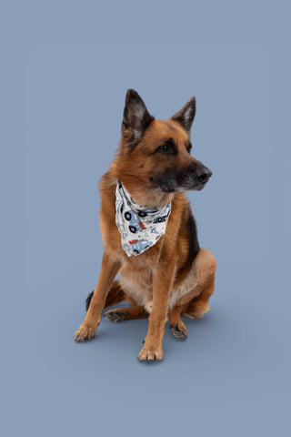 LOVE UNDER CONSTRUCTION DREAM DOG BANDANA