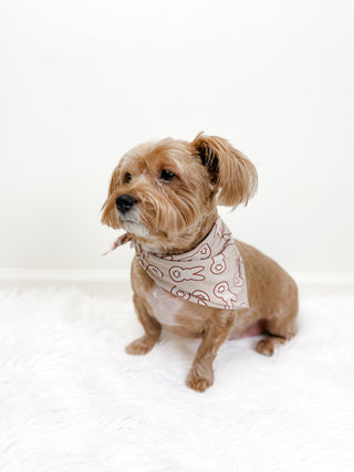 BUNNY TAILS DREAM DOG BANDANA