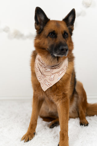 BUNNY TAILS DREAM DOG BANDANA