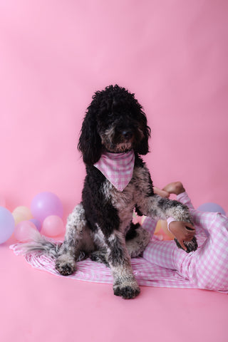 TAFFY PINK GINGHAM DREAM DOG BANDANA