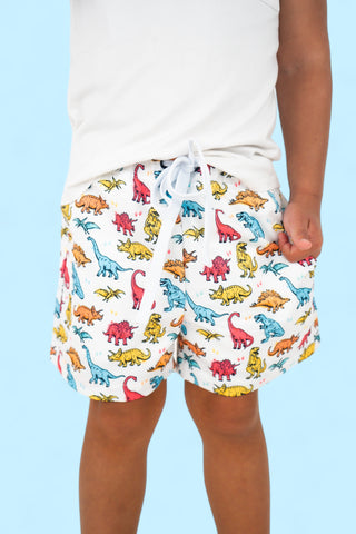 COLOR ME DINO DREAM SWIM TRUNKS