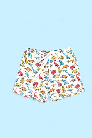 COLOR ME DINO DREAM SWIM TRUNKS