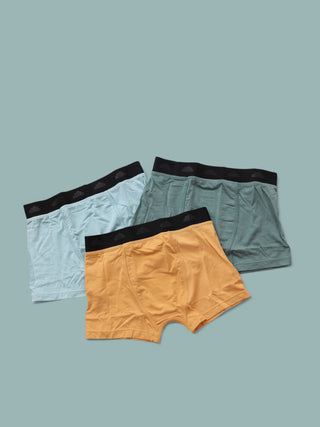 SAGE DREAM BOY'S BOXER BRIEF SET