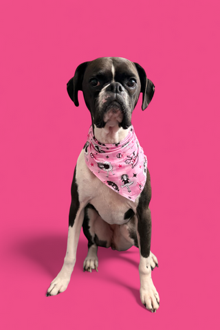 ELOISE HOLIDAY BALLET DREAM DOG BANDANA