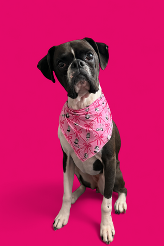 ELOISE ROYAL RIBBONS DREAM DOG BANDANA