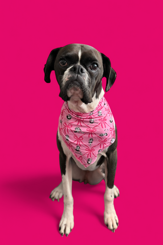 ELOISE ROYAL RIBBONS DREAM DOG BANDANA