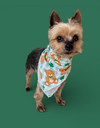 TEDDY O'LUCK DREAM DOG BANDANA