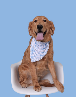 BLUEBELL EASTER TOILE DREAM DOG BANDANA