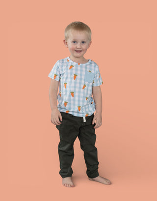 SPRING HARVEST CHECK DREAM POCKET TEE