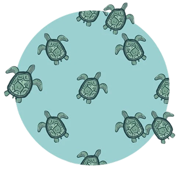 TURTLE BAY