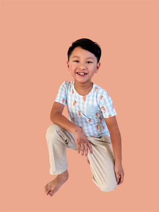 SPRING HARVEST CHECK DREAM POCKET TEE